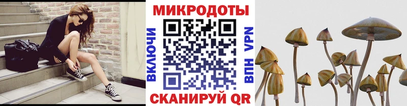 Галлюциногенные грибы Psilocybe  Мамоново 
